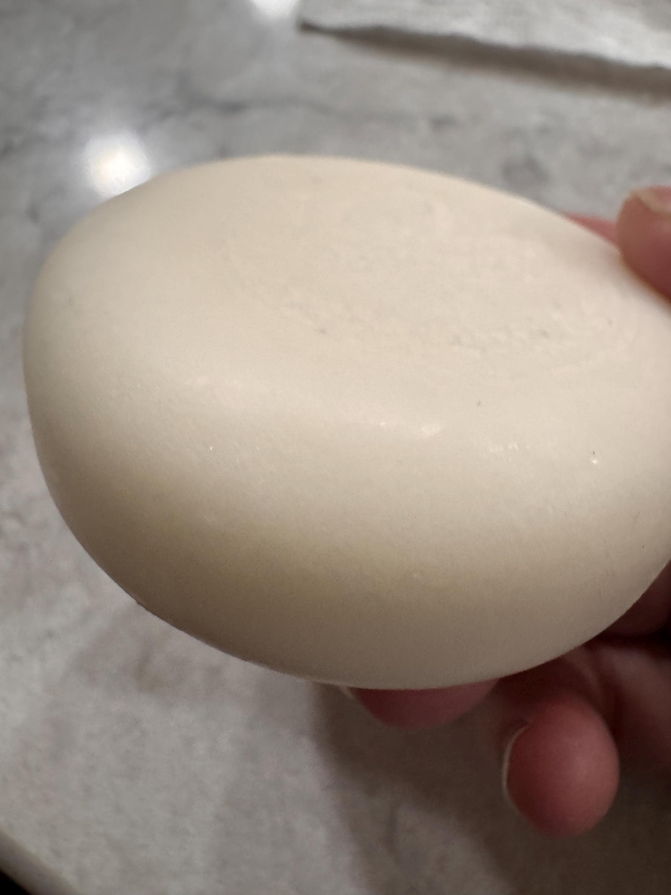 Solid Shampoo Bar Coconut Cream  2.0 oz